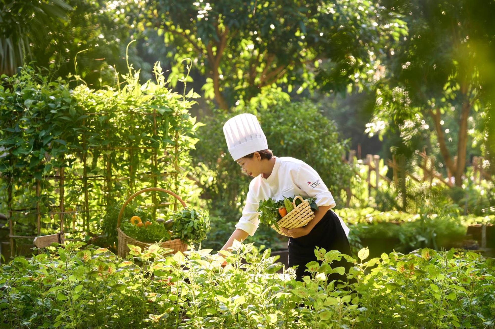 Resort Marriott & Spa, Hon Tre Island Nha Trang