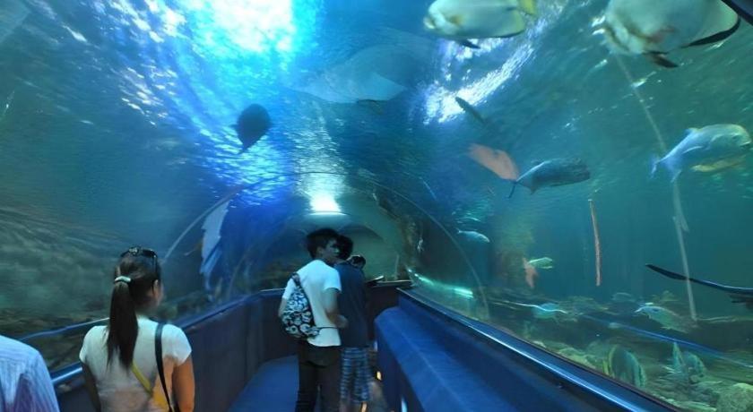 Vinpearl Discovery Rockside Resort 5*