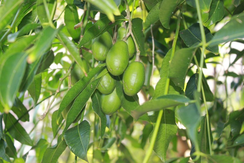 Takalau & Phan Thiet