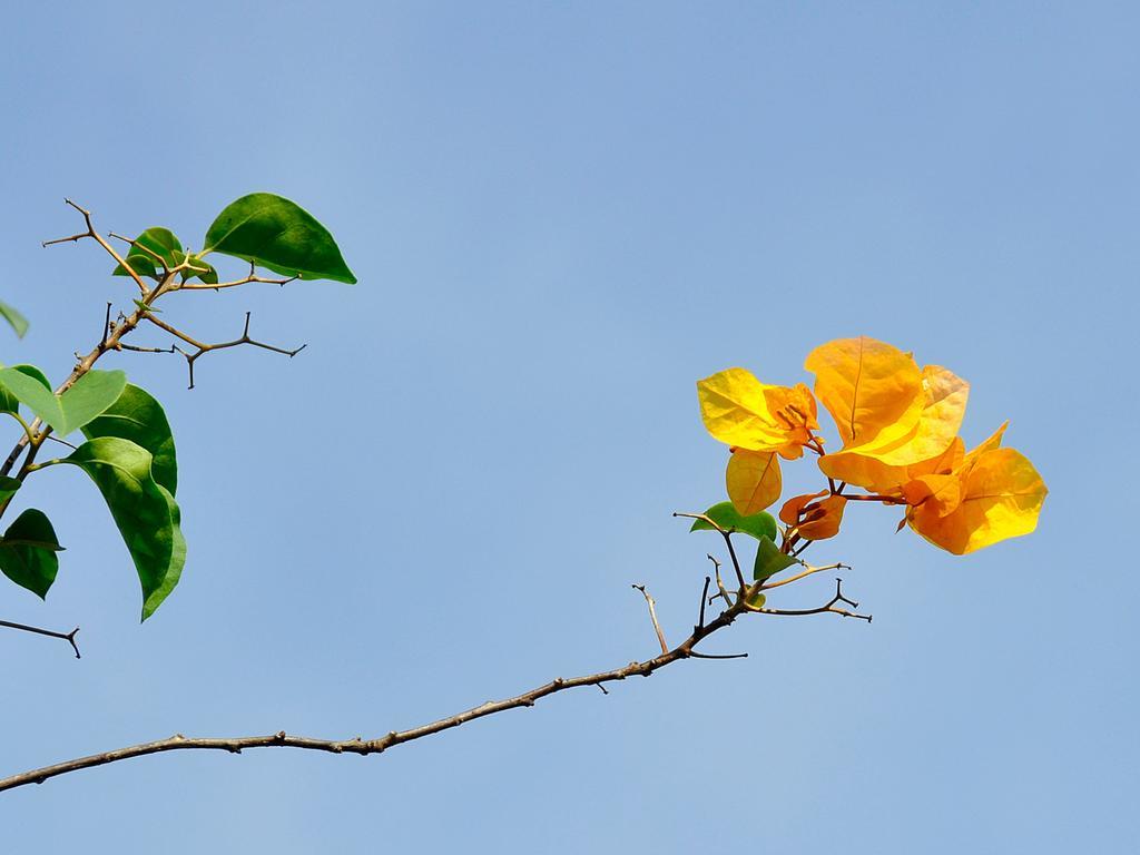 Grand 2* Hanoi