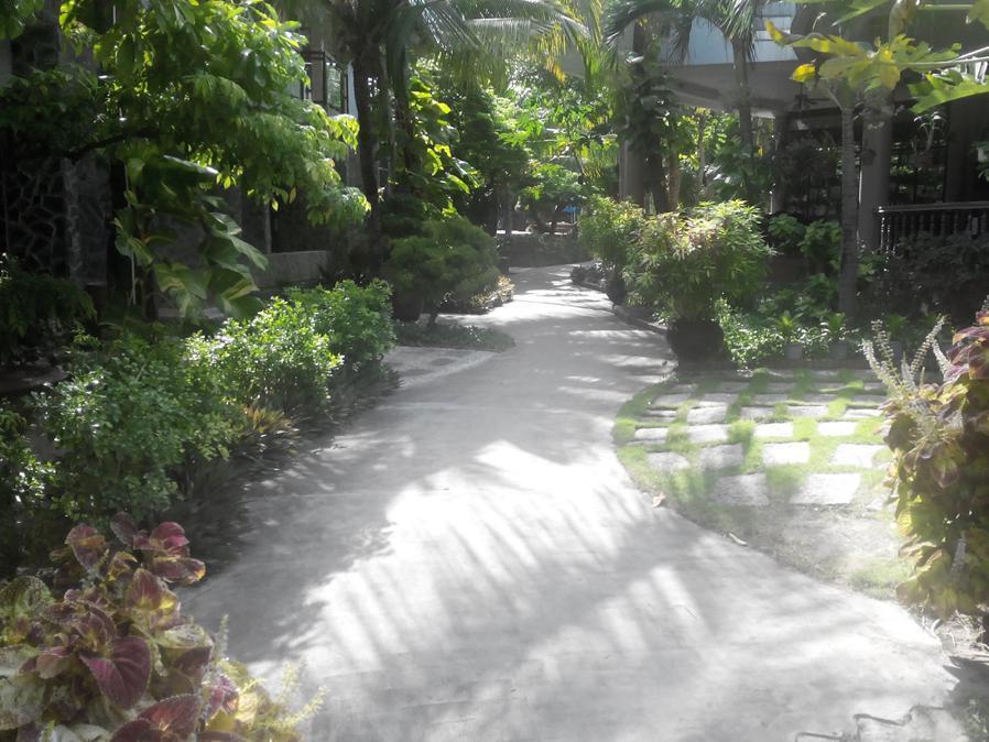 Garden 2*