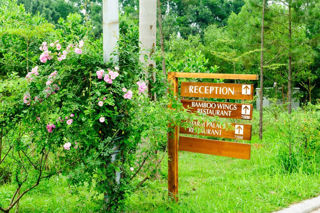 Resort Flamingo Dai Lai