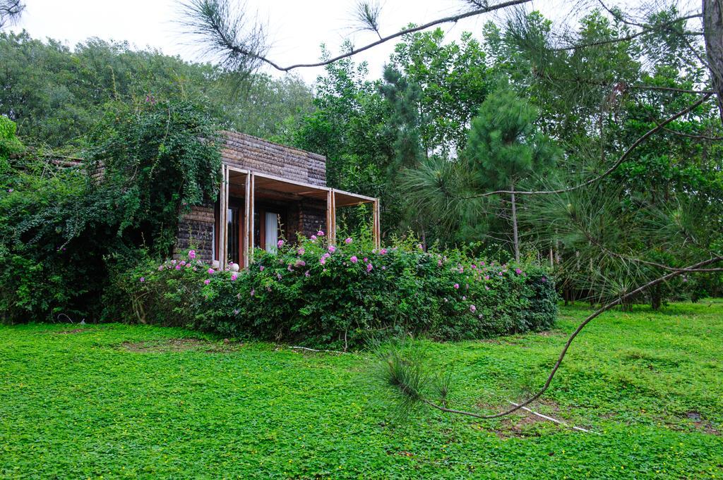 Resort Flamingo Dai Lai 5*