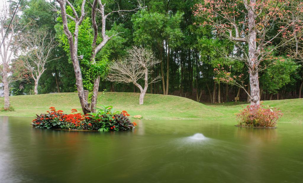 Flamingo Dai Lai