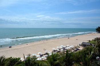 Hotel Sea Lion Beach &