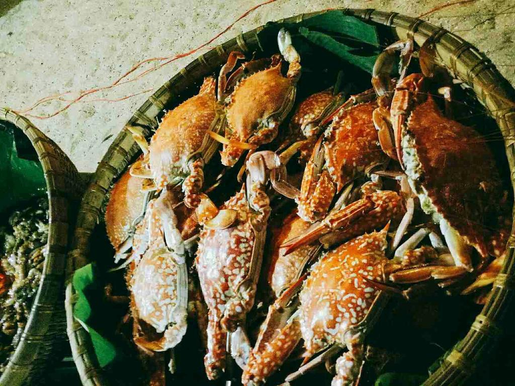 Khu nghỉ mát Dynasty Mui Ne
