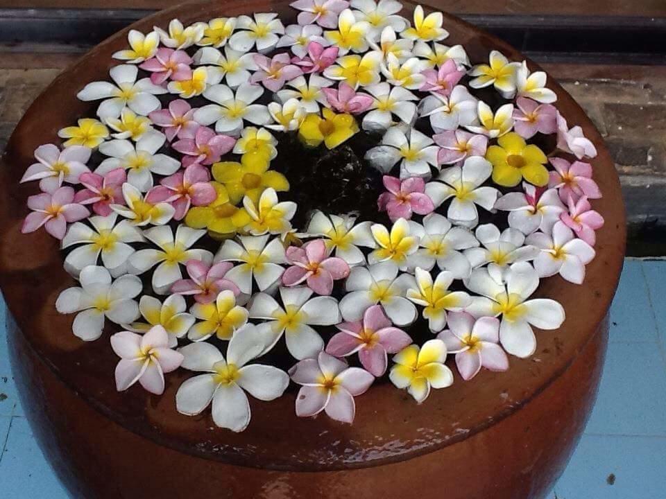 Orchid Boutique 3*