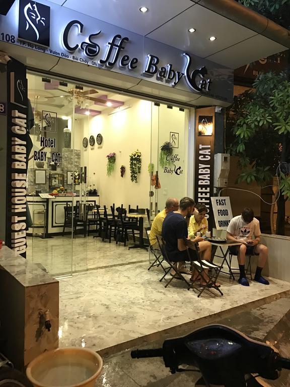Hotel Babycat & Coffee