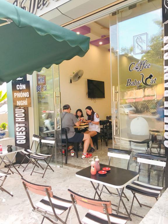 Hotel Babycat & Coffee 2*
