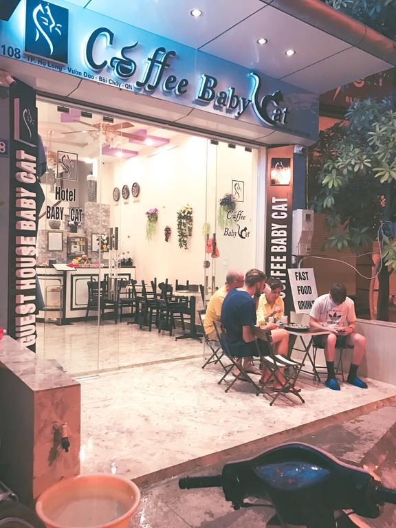 Hotel Babycat & Coffee