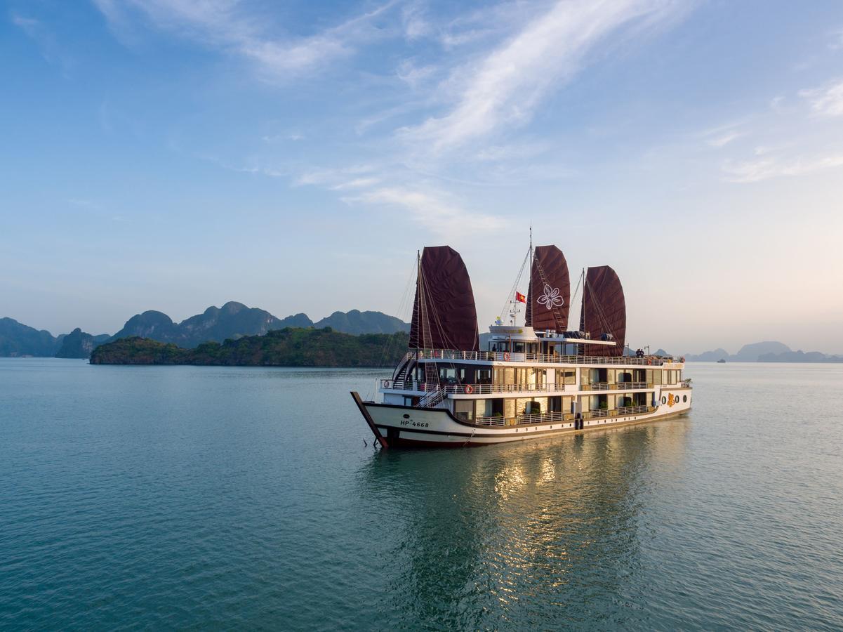 Orchid Trendy Cruise  Ha Long