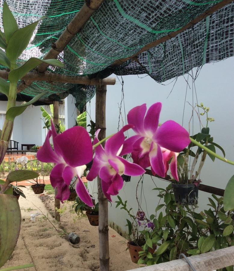 Hung Thinh 3* Phan Thiet