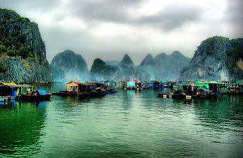 Cristina Diamond Cruise Ha Long