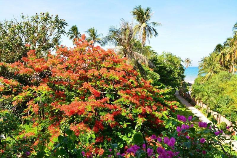 Little Paris 4* Phan Thiet