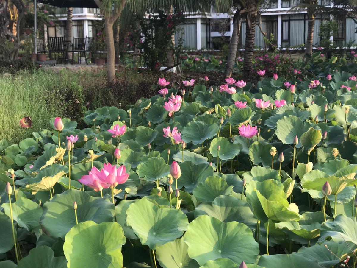 Fiore Healthy Phan Thiet