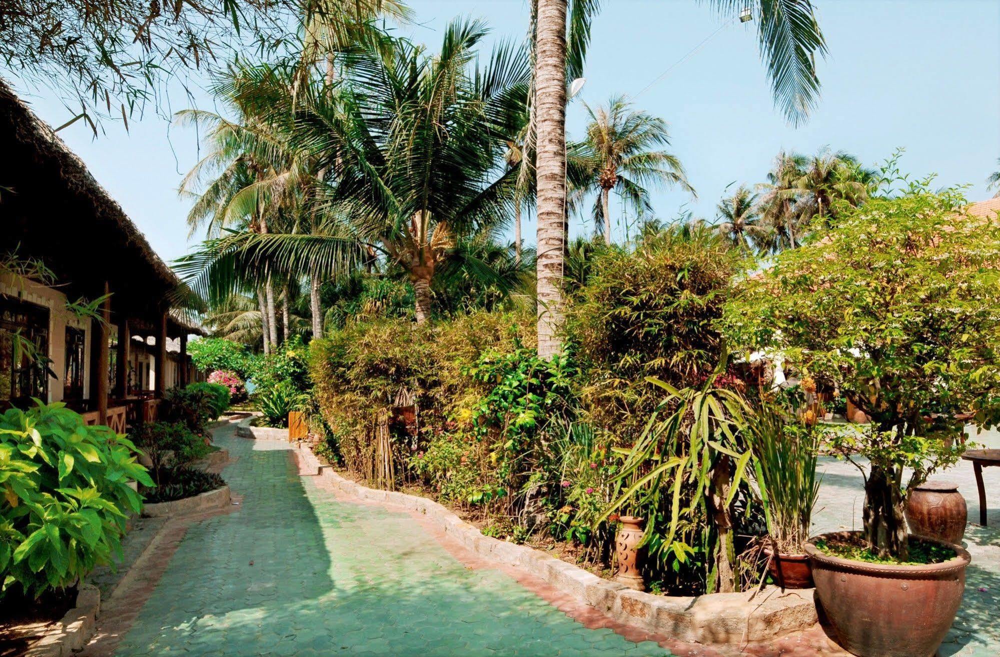 Thai Hoa