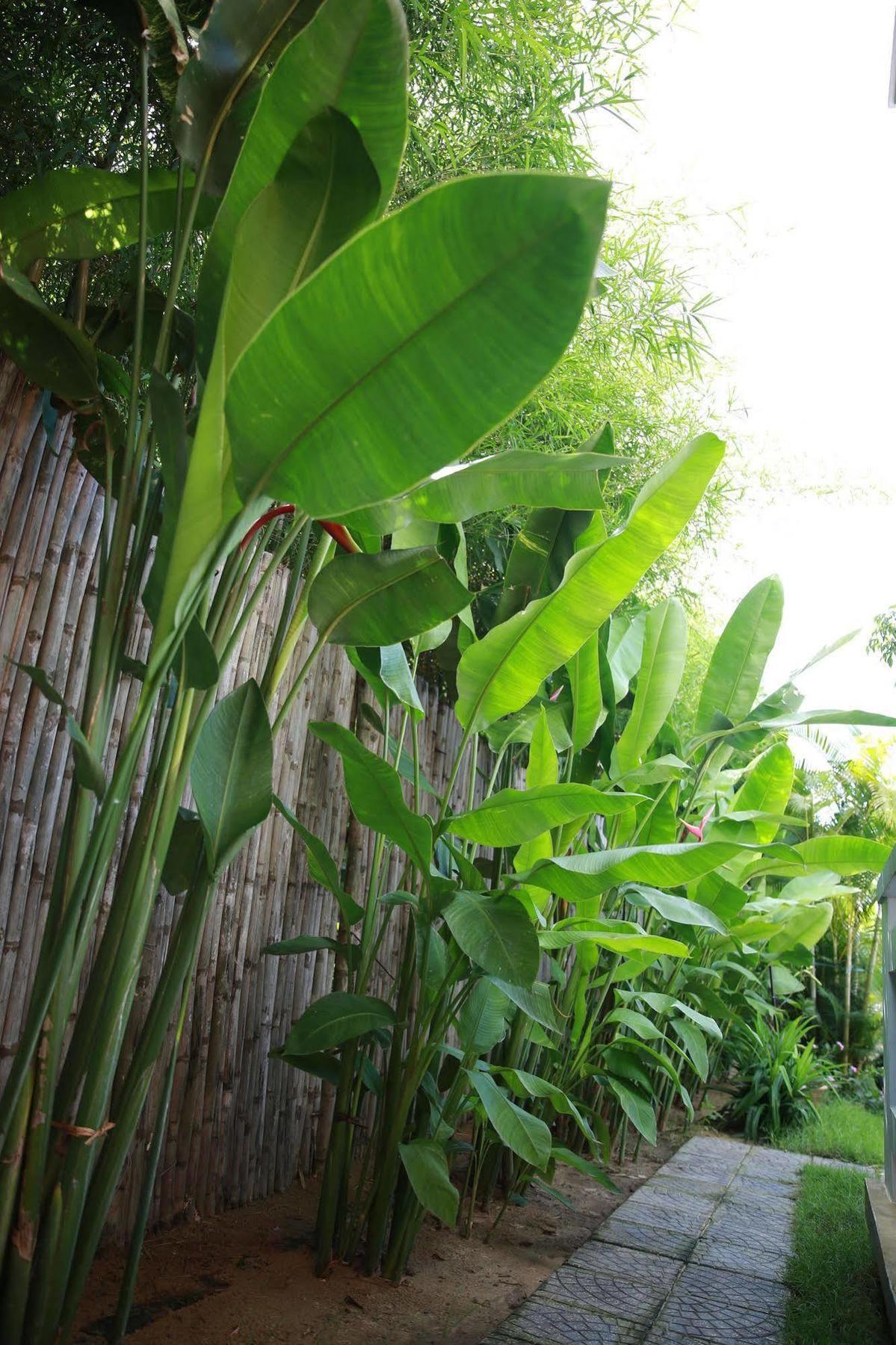 Mr Tho Garden * Hoi An