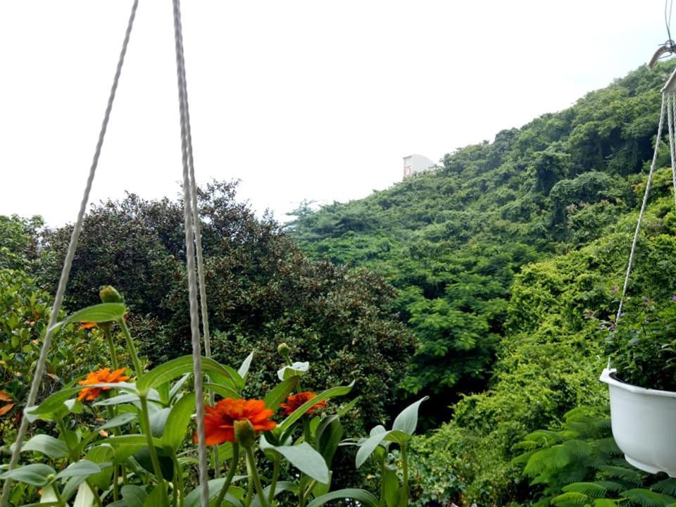 Lam Son & Vung Tau