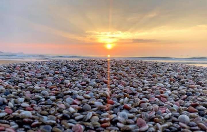 Suoi Nuoc Resort Mui Ne
