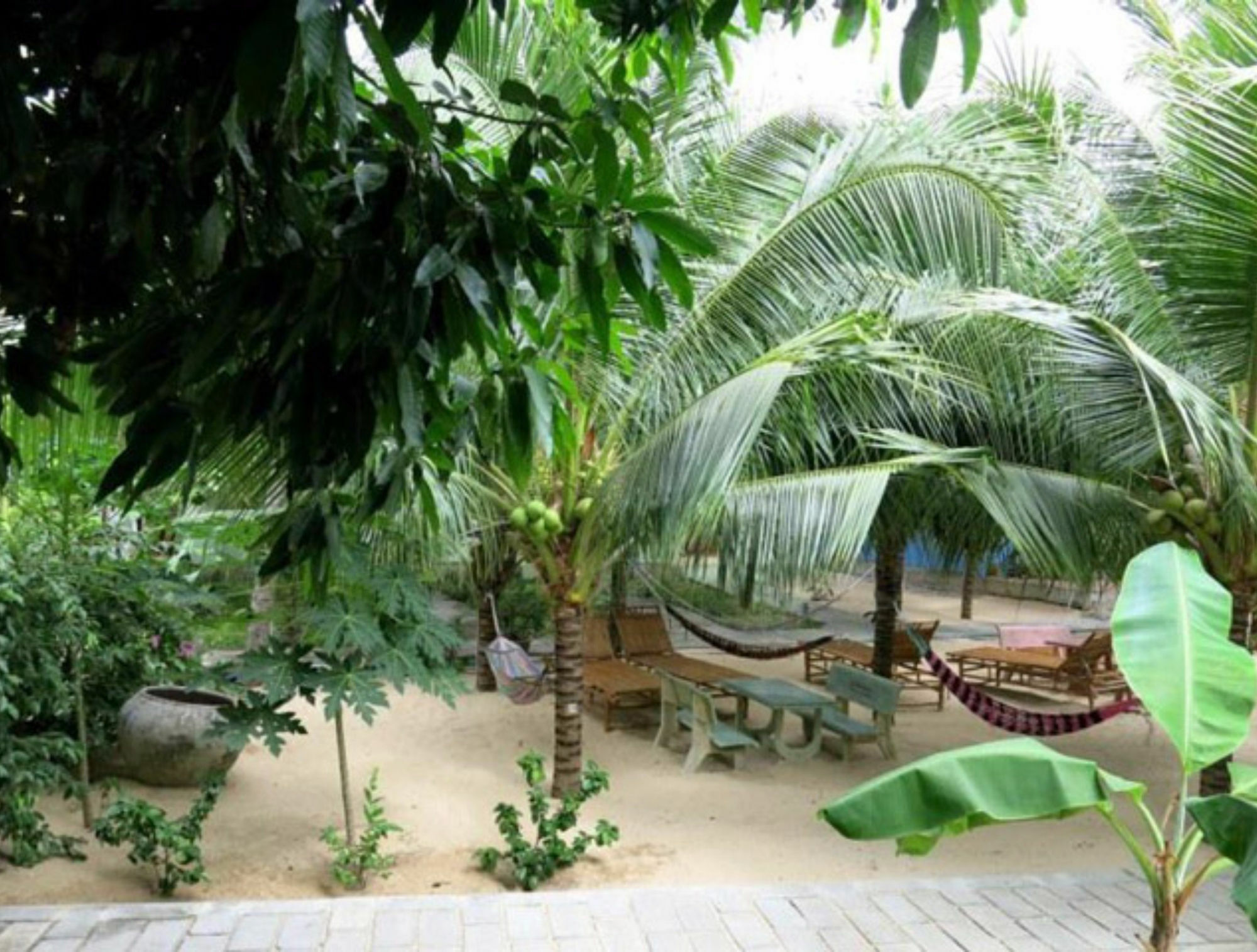 Cocosand Guest house