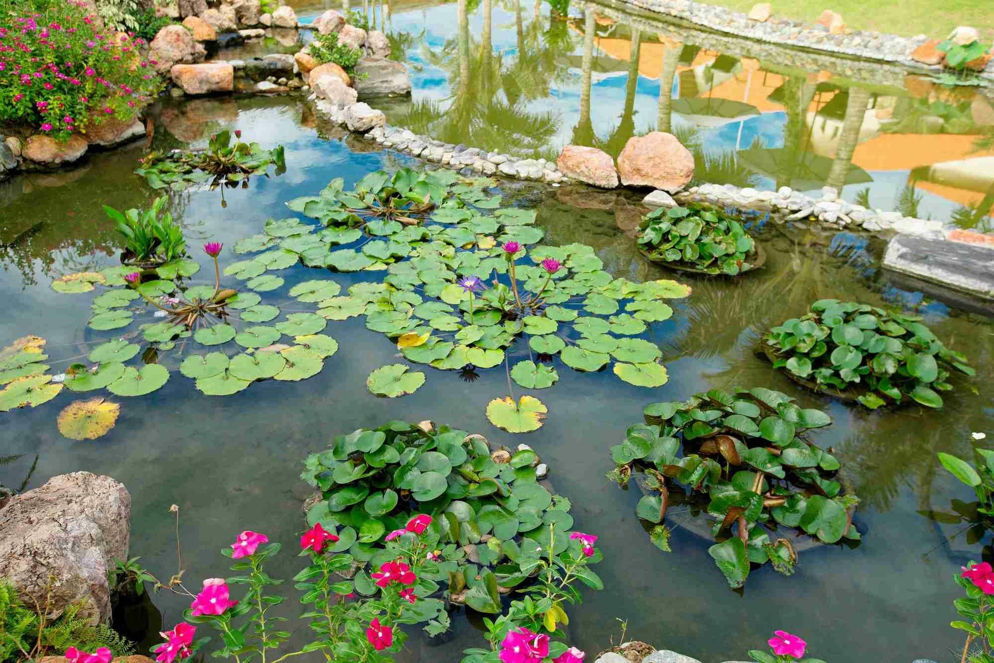 Blue Bay Mui Ne & Phan Thiết