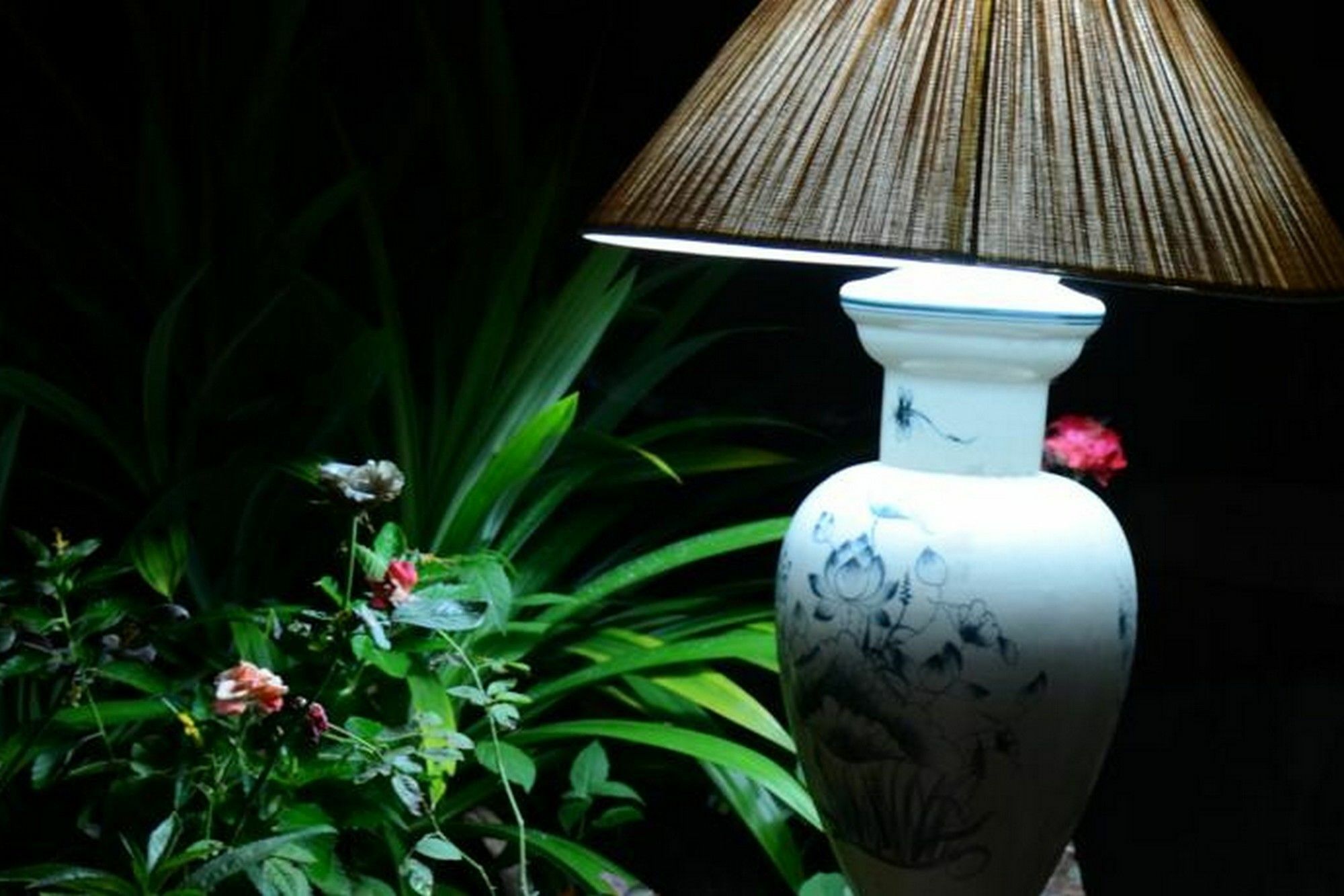 Guest house 313 Cua Dai - Viet House Hoi An
