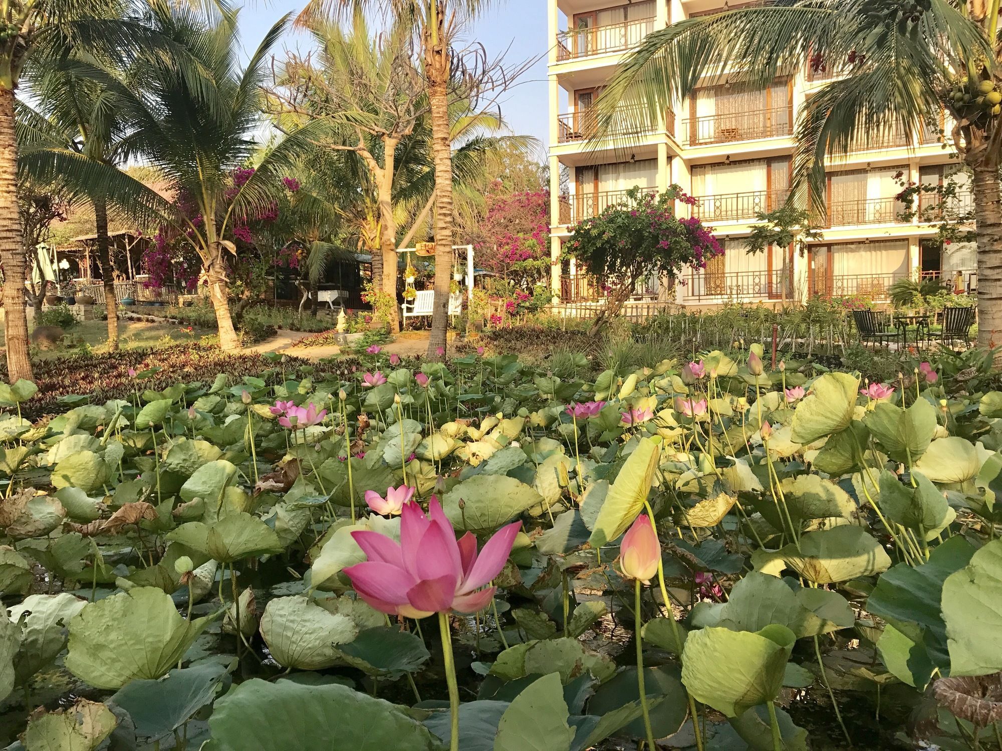Fiore Healthy Resort 4*