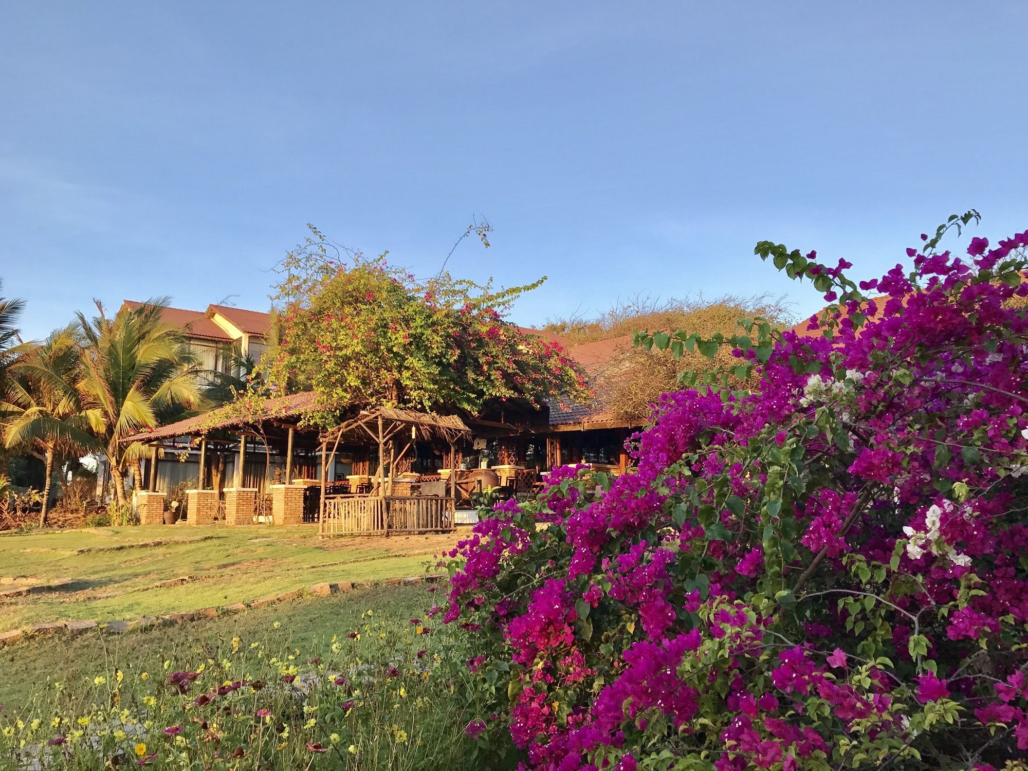 Resort Fiore Healthy