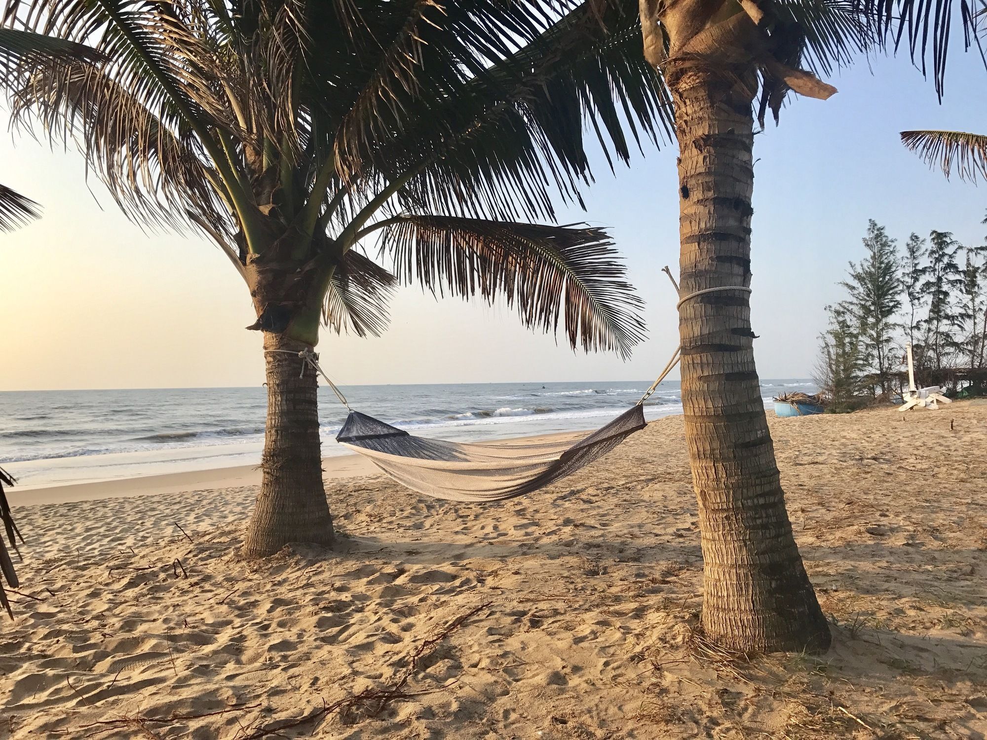 Fiore Healthy Phan Thiet