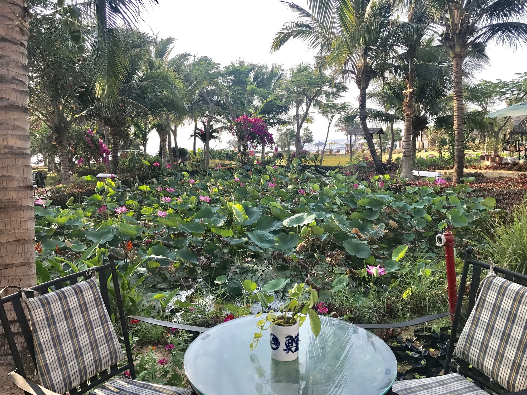 Fiore Healthy Resort 4*