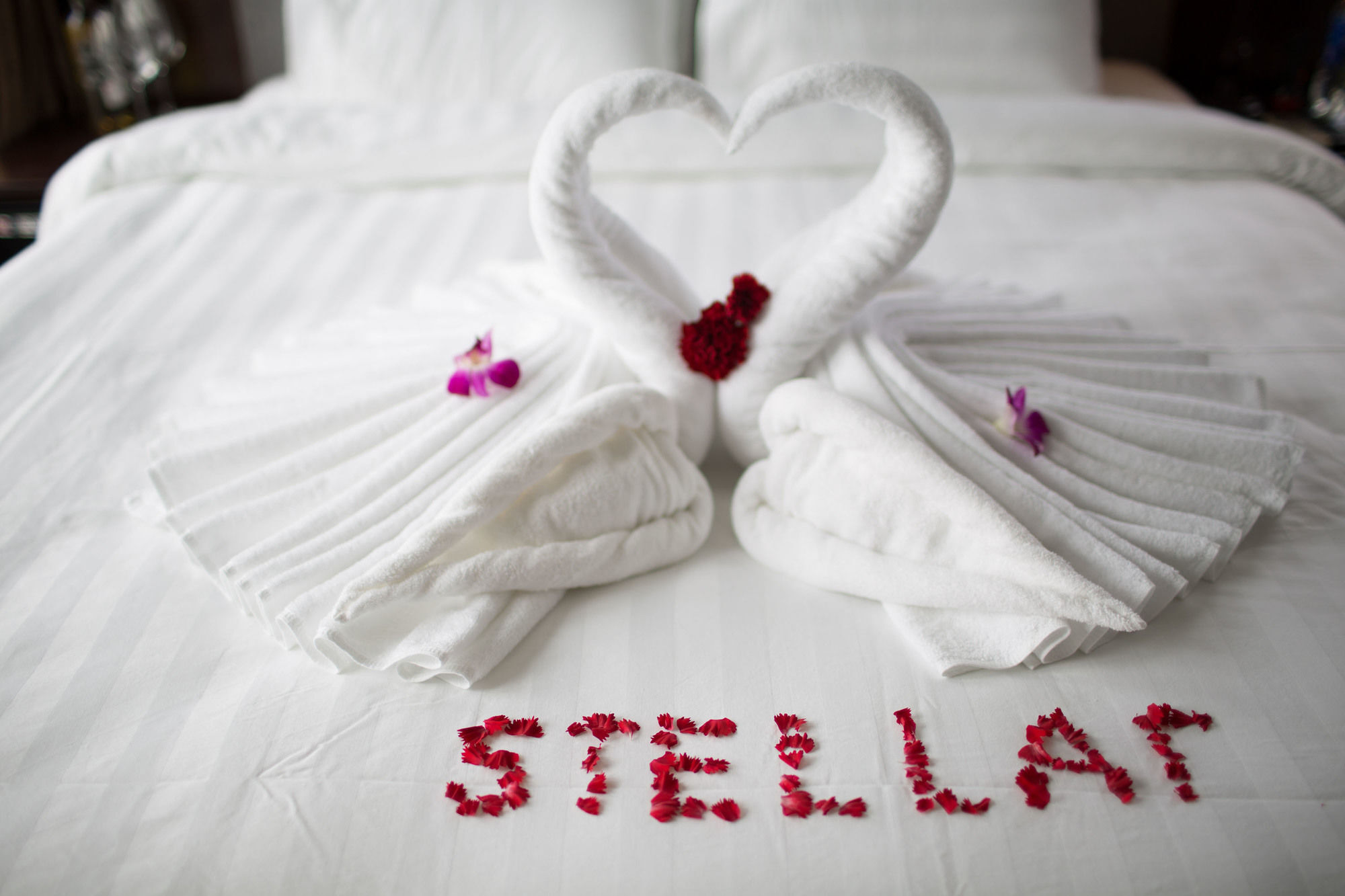 Halong Stellar Cruise Hotel 3*