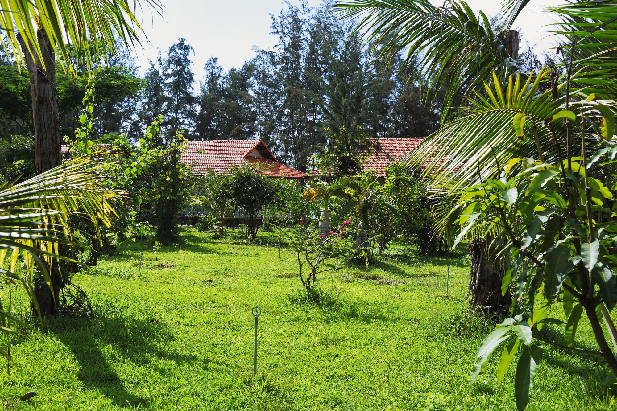 Sky Star Khu nghỉ mát Phan Thiết