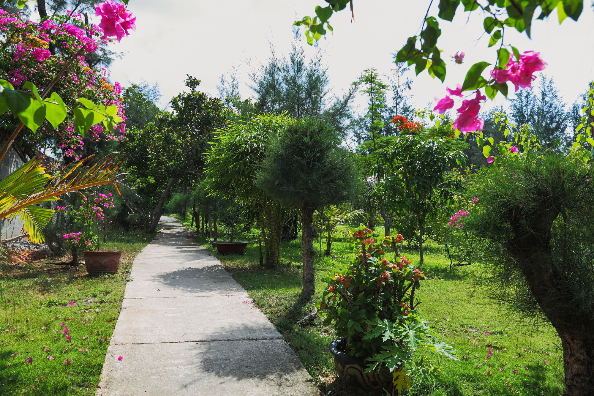 Khu nghỉ mát Sky Star Phan Thiết