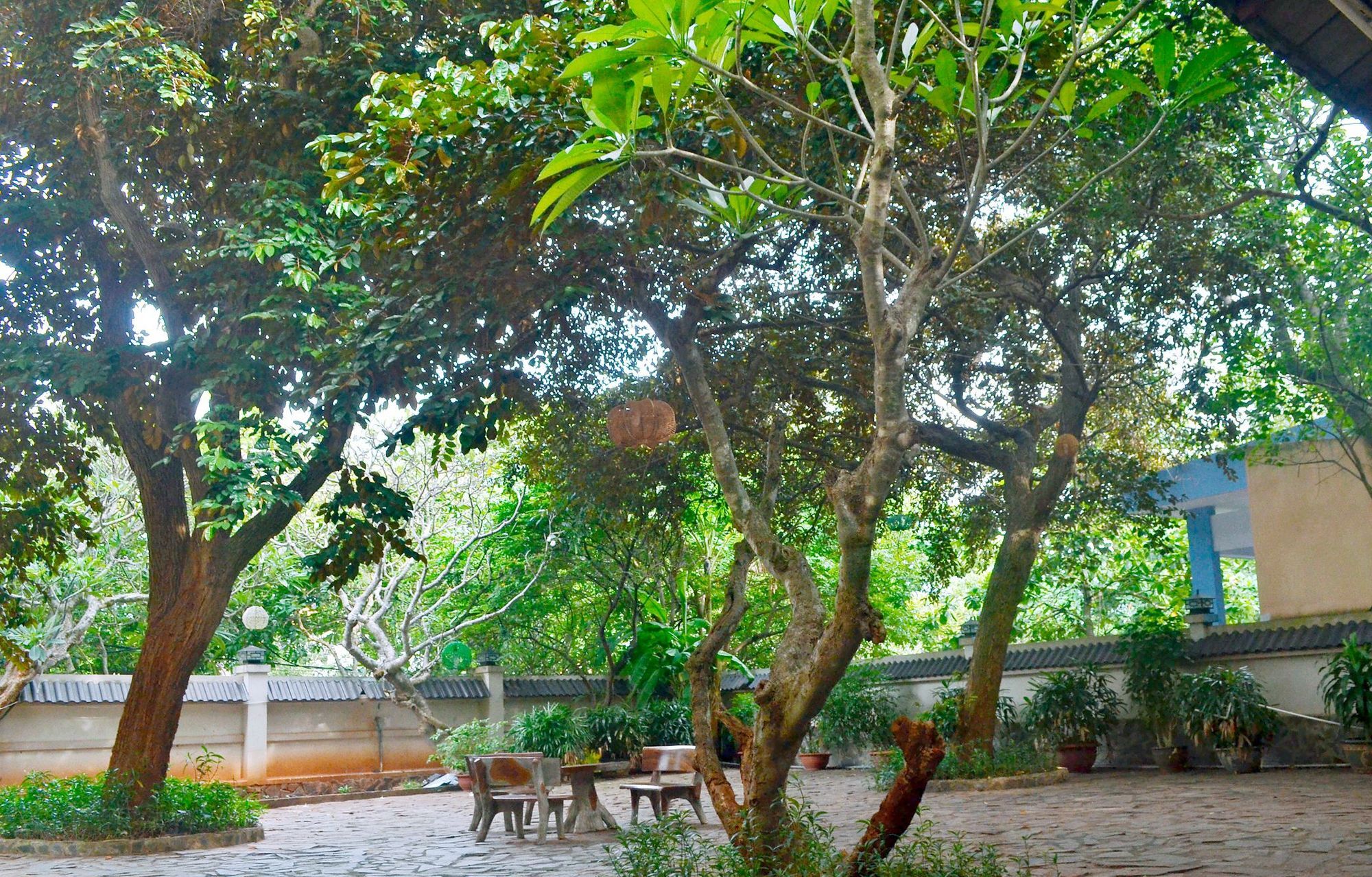 Lam Son & Hotel Vung Tau